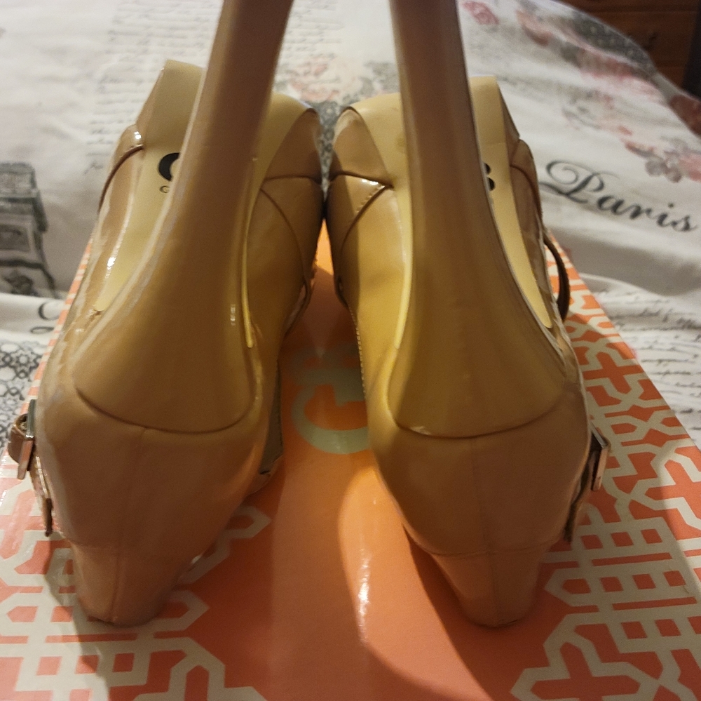 GIANNI BINI